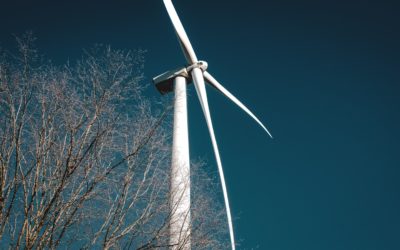 Journée mondiale de l’environnement 2024 : Nos terres, notre avenir, notre responsabilité